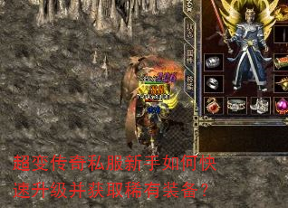 ���䴫��˽��������ο�����������ȡϡ��װ����