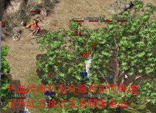 ��Ѫ����˽���Ϸ�����ο�������ս����ռ��Դ�ư�ȫ����