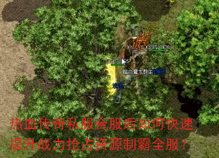 ��Ѫ����˽���Ϸ�����ο�������ս����ռ��Դ�ư�ȫ����