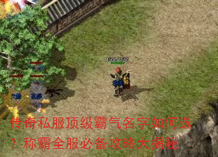 传奇私服顶级霸气名字如何选?称霸全服必备攻略大揭秘 传奇私服顶级霸气名字如何选?称霸全服必备攻略大揭秘