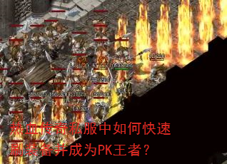 ��Ѫ����˽������ο���ˢװ������ΪPK���ߣ�