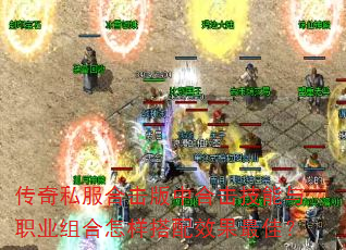 ����˽���ϻ����кϻ�������ְҵ�����������Ч����ѣ�