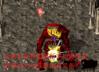 ����˽���ۿ۰�������ο�������ս�����ȡϡ��װ����