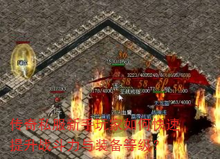 ����˽�����������ο�������ս������װ���ȼ���