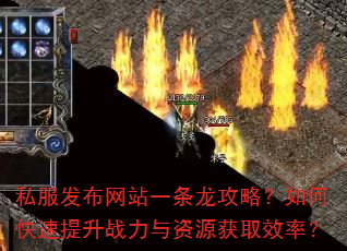 ˽��������վһ�������ԣ���ο�������ս������Դ��ȡЧ�ʣ�