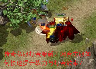 ����˽�������¿����ϻ�����ο�������ս������Ч�ʣ�