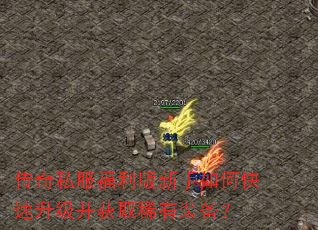 ����˽��������������ο�����������ȡϡ��װ����