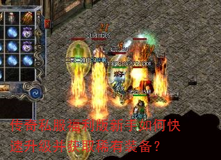 ����˽��������������ο�����������ȡϡ��װ����