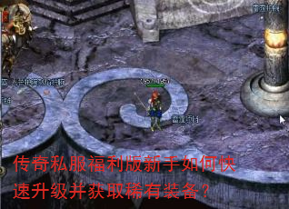 ����˽��������������ο�����������ȡϡ��װ����