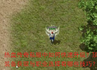 ��Ѫ����˽������ο�������������װ����ȡ��ְҵѡ������Щ���ɣ�