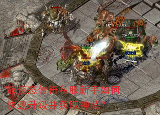 超变态传奇私服新手如何快速升级并获取神装? 超变态传奇私服新手如何快速升级并获取神装?