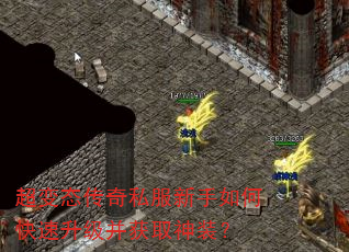 超变态传奇私服新手如何快速升级并获取神装? 超变态传奇私服新手如何快速升级并获取神装?