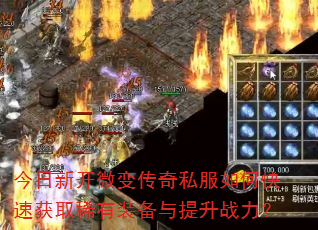 �����¿�΢�䴫��˽����ο��ٻ�ȡϡ��װ��������ս����