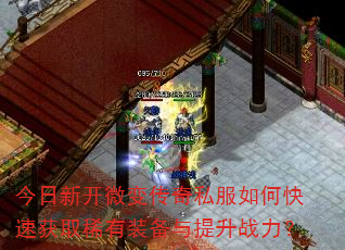 �����¿�΢�䴫��˽����ο��ٻ�ȡϡ��װ��������ս����