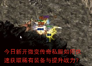 �����¿�΢�䴫��˽����ο��ٻ�ȡϡ��װ��������ս����