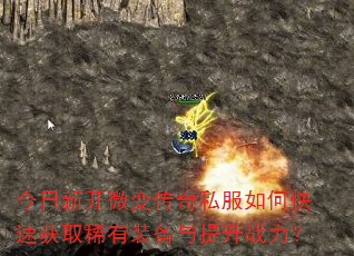 �����¿�΢�䴫��˽����ο��ٻ�ȡϡ��װ��������ս����