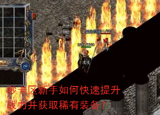 �뿨��������ο�������ս������ȡϡ��װ����