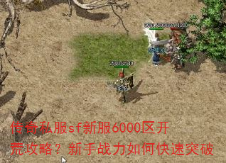 ����˽��sf�·�6000�����Ĺ��ԣ�����ս����ο���ͻ��