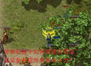 ����˽������ο��ٻ�ö���װ����������ɫս������