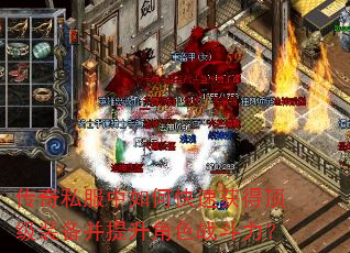 ����˽������ο��ٻ�ö���װ����������ɫս������