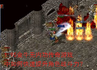 1.95��ţ���ڹ�������Ϸ����ο���������ɫս������