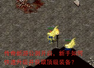 �������ι��⿪����������ο�����������ȡ����װ����