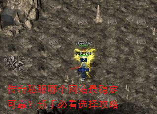 ����˽���ĸ���վ���ȶ��ɿ������ֱؿ�ѡ����