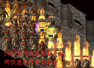 ��ְҵ����˽��������ο���ѡ����ǿְҵ��