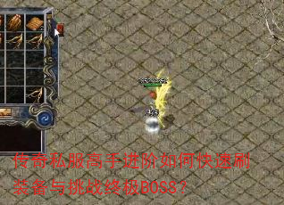 ����˽�����ֽ�����ο���ˢװ������ս�ռ�BOSS��