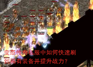 ��̬����˽������ο���ˢ��ϡ��װ��������ս����