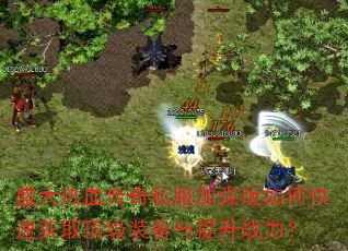 ʢ����Ѫ����˽����ǿ����ο��ٻ�ȡ����װ��������ս����