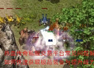 ��Ѫ����˽������ƽ̨������������ο��ٻ�ȡ��Ʒװ��������ս����