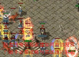 ��Ѫ����˽��������θ�Ч��չ�����ֱؿ�������ʵս���ɽ���