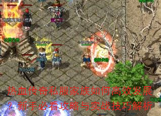 ��Ѫ����˽��������θ�Ч��չ�����ֱؿ�������ʵս���ɽ���