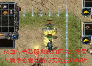 ��Ѫ����˽��������θ�Ч��չ�����ֱؿ�������ʵս���ɽ���