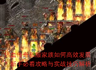 ��Ѫ����˽��������θ�Ч��չ�����ֱؿ�������ʵս���ɽ���