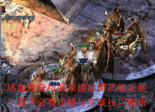 ��Ѫ����˽��������θ�Ч��չ�����ֱؿ�������ʵս���ɽ���