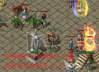 ������Щ����˽��������������ʺ��������ţ�