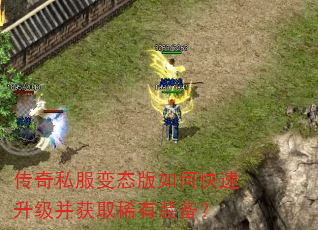 ����˽����̬����ο�����������ȡϡ��װ����