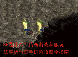 SF��ʲô��������Ϸ˽���淨��������ֽ��׹���ȫָ��