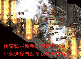 ����˽��������ο���������ְҵѡ����װ����ȡȫ���ԣ�