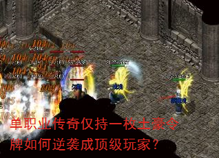 ��ְҵ�������һö�������������Ϯ�ɶ�����ң�