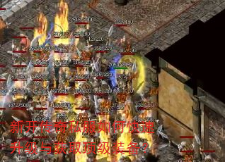 �¿�����˽����ο����������ȡ����װ����