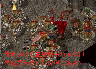 ����˽����������������ο�������ս����ȡϡ��װ����