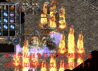 �´���˽�������������������������ο��ٳ�Ϊ�������֣�