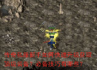 ����˽��������ο���������ȡ����װ�����ر���������Щ��