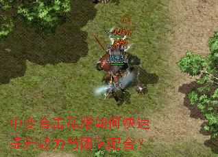 �б�ϻ�˽����ο�������ս�����Ŷ���ϣ�