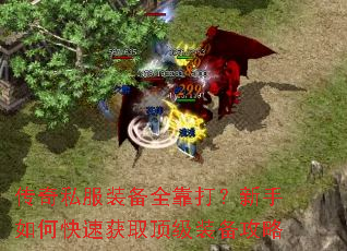 ����˽��װ��ȫ����������ο��ٻ�ȡ����װ������