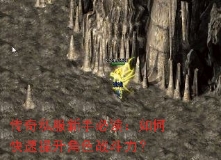 ����˽�����ֱض�����ο���������ɫս������