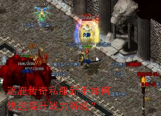 ��¹����˽��������ο�������ս���ȼ���